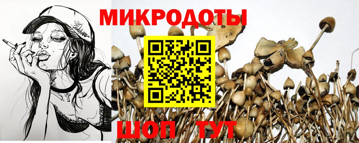 хочу наркоту  Вход с VPN  Улан-Удэ  Псилоцибиновые грибы мицелий 