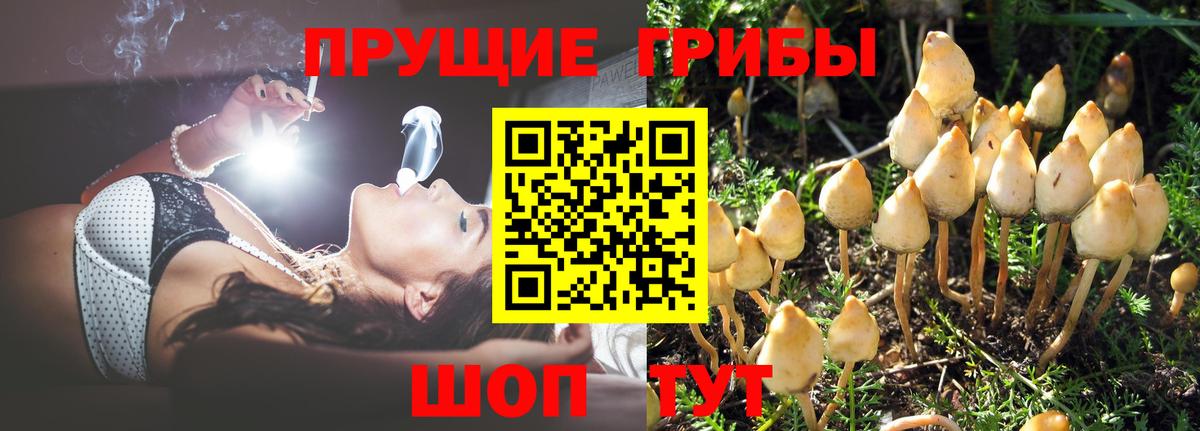 Галлюциногенные грибы мицелий Улан-Удэ